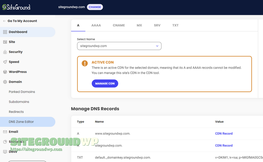 SiteGround DNS Zone Editor 解析记录列表界面